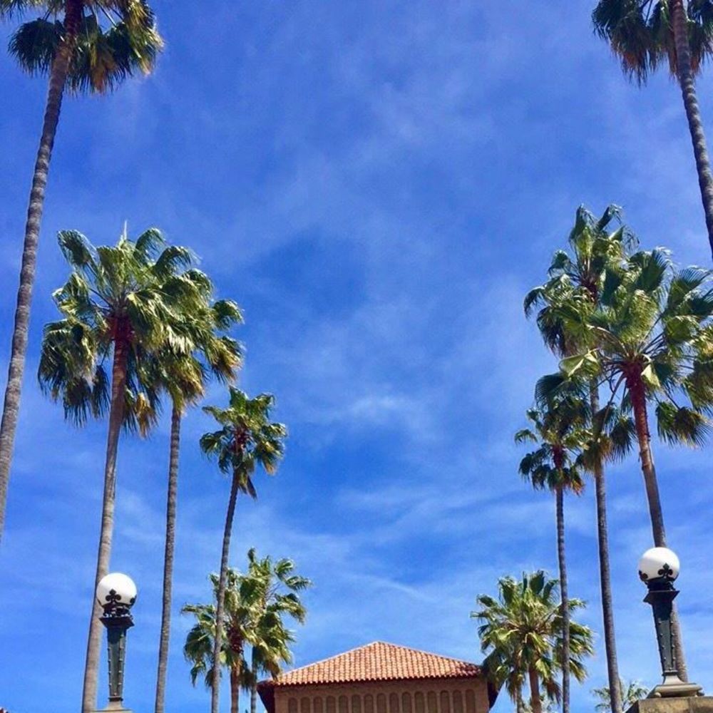 Meet your Posher, Yu jin